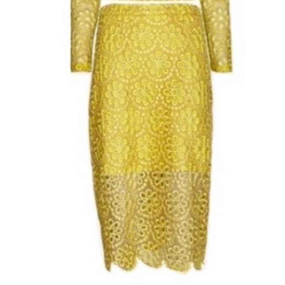 Alexis Larissa Lace Floral Skirt
